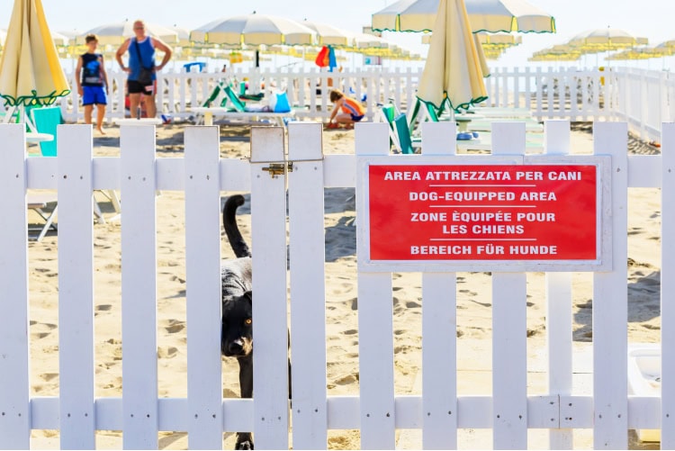 Spiagge per cani a Cesenatico