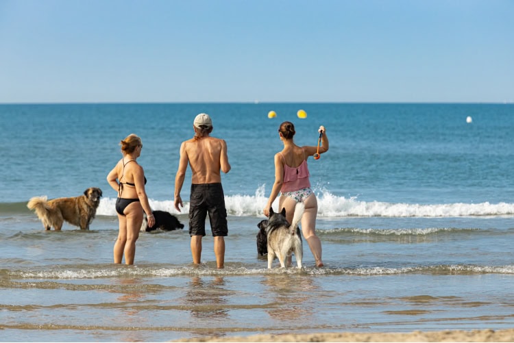 Spiagge libere di Cesenatico dove fare il bagno con i cani